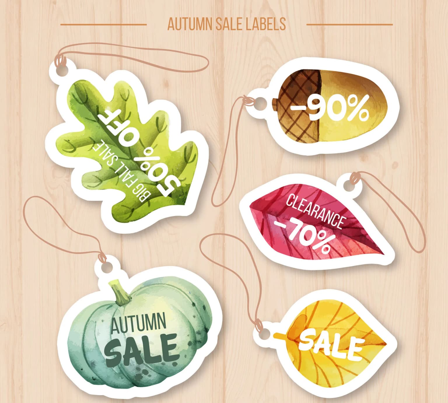 Custom decals and stickers designed to elevate brand visibility by MSE Printing