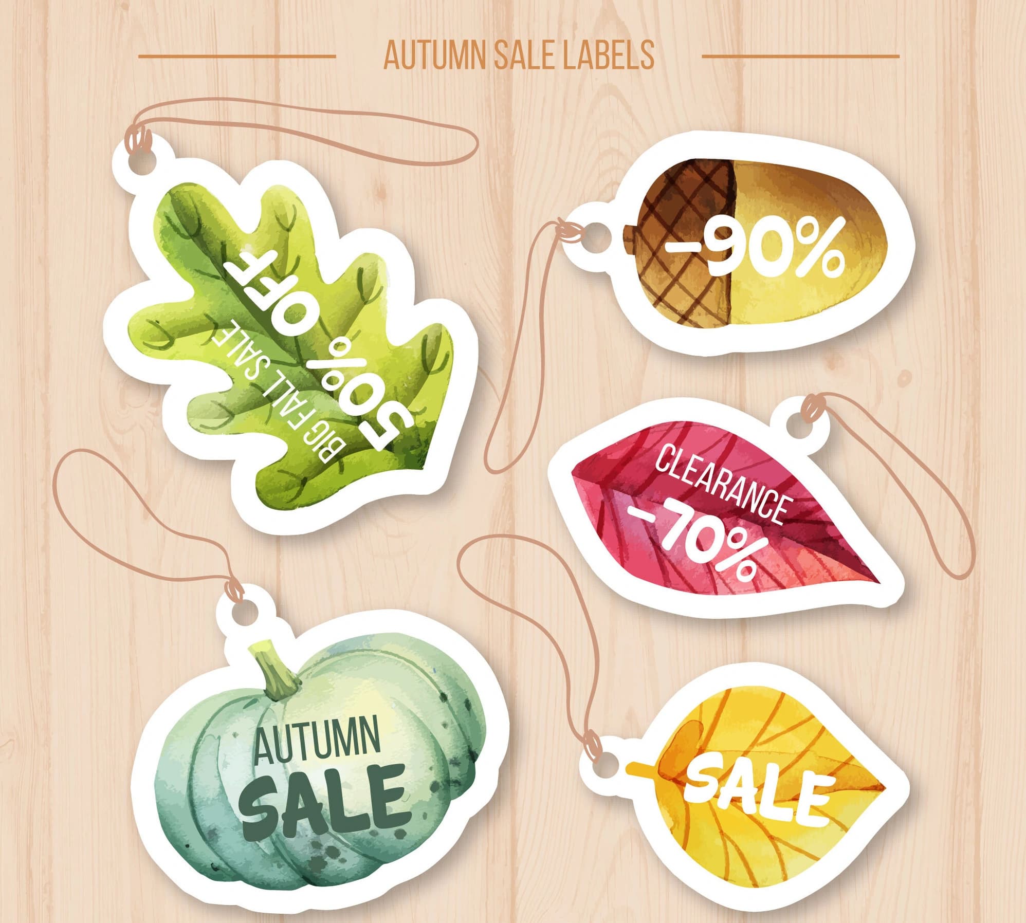 Custom decals and stickers designed to elevate brand visibility by MSE Printing